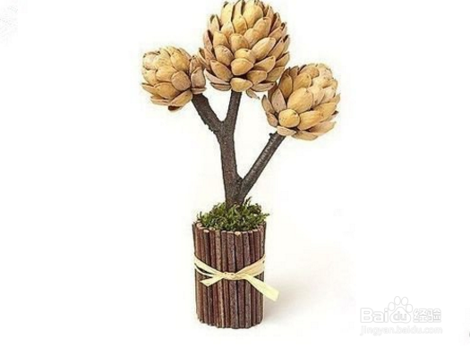 美美哒装饰坚果树 你的室内多了一抹秋色!