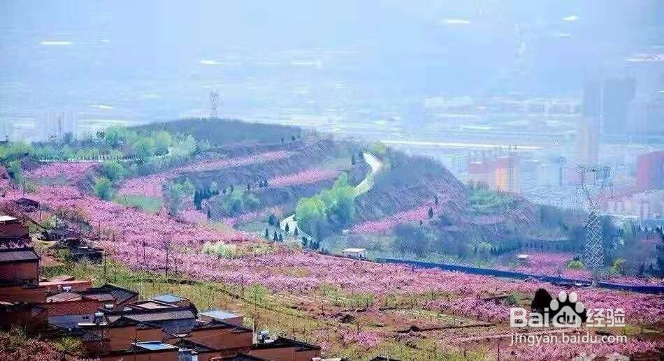 甘肃天水旅游攻略