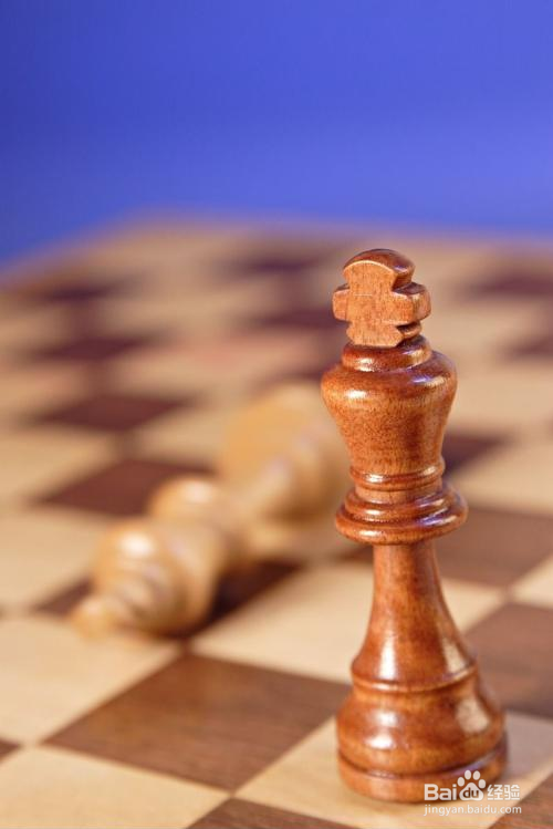 国际象棋入门实用教程之走子规则