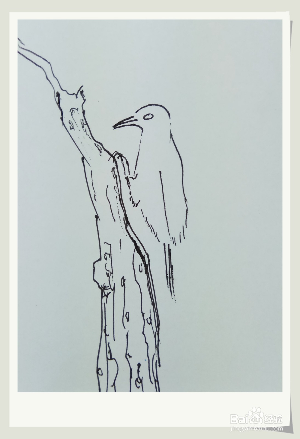 怎样画简笔画“啄木鸟”？