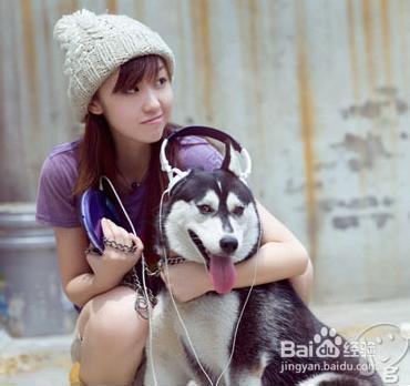 怎么接近一只陌生的狗狗