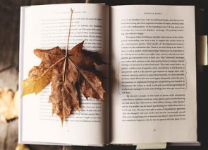 百度经验的撰写秘诀