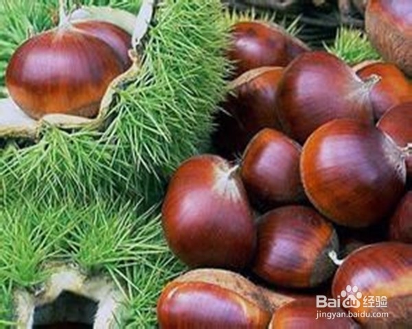 温性驱寒的食物有哪些