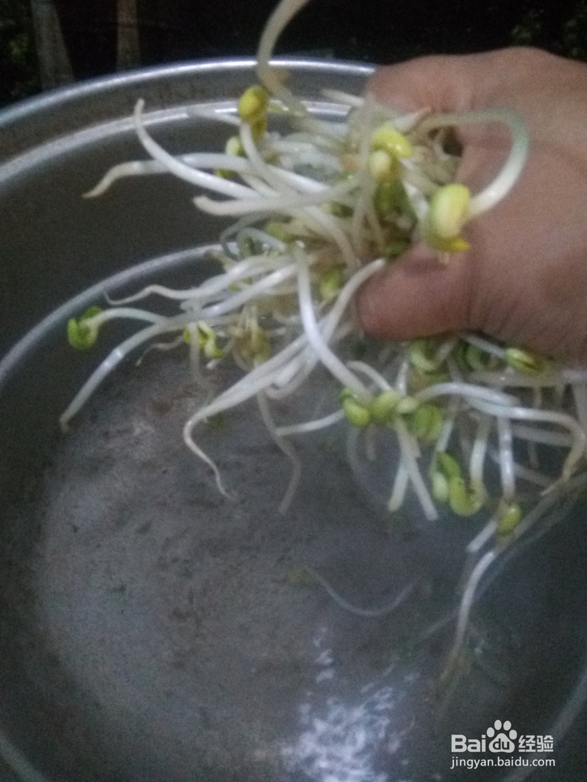 凉拌菜胡萝卜丝拌豆芽