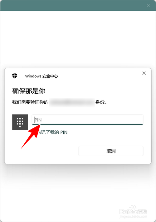 Windows 11 怎样从微软商店下载主题