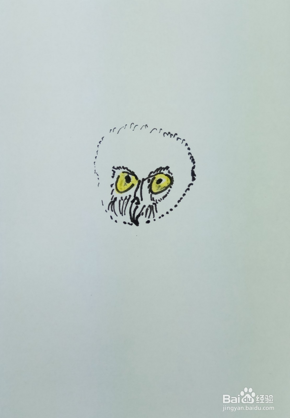 怎样画简笔画刚出生的猫头鹰