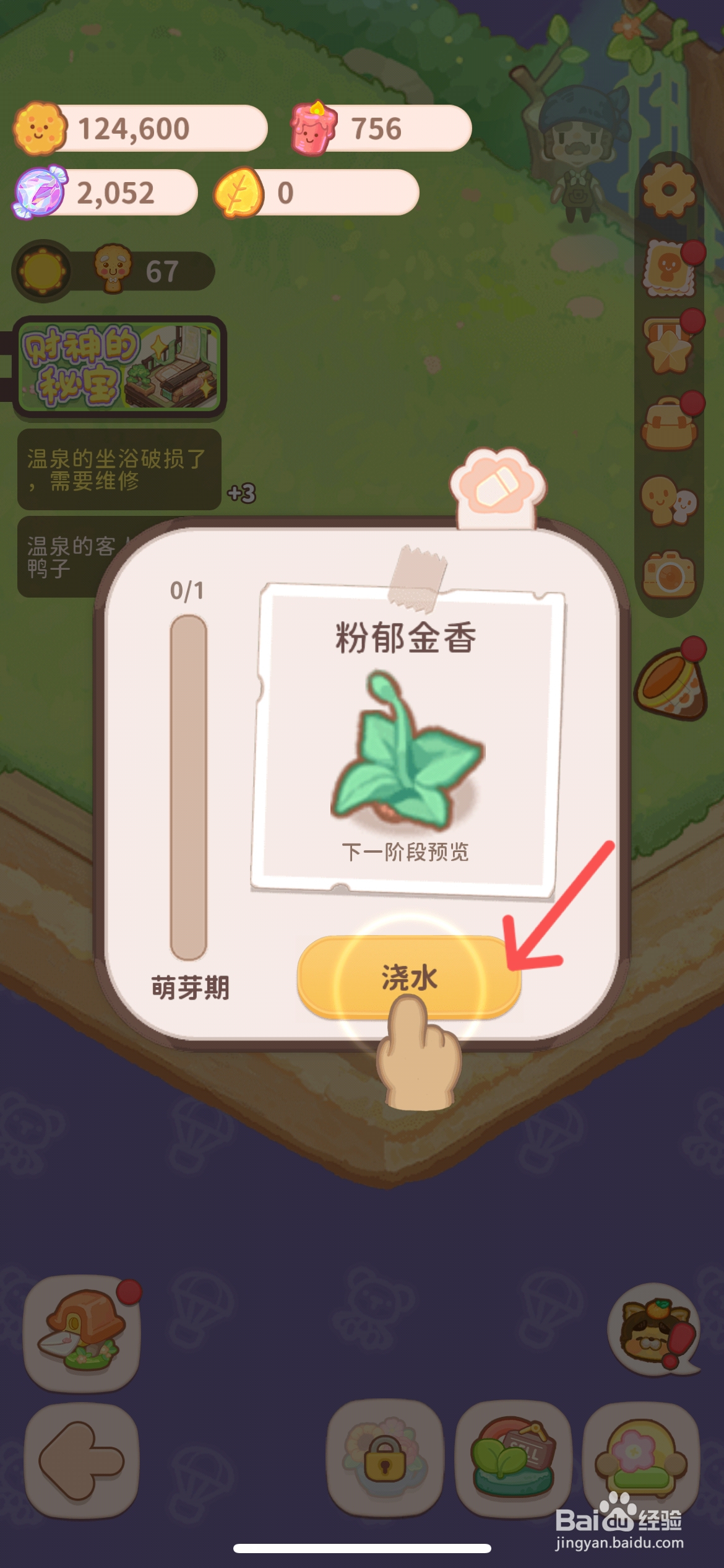 乌冬的旅店怎么给粉郁金香种子浇水