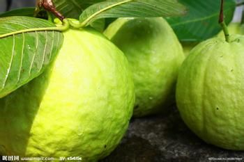 哪些食物可以清除口臭