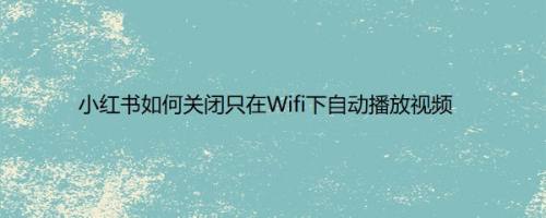 小红书如何关闭只在Wifi下自动播放视频