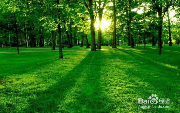 怎样才能避免快速衰老