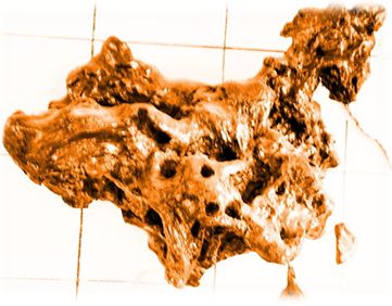 怎样选择三峡特产