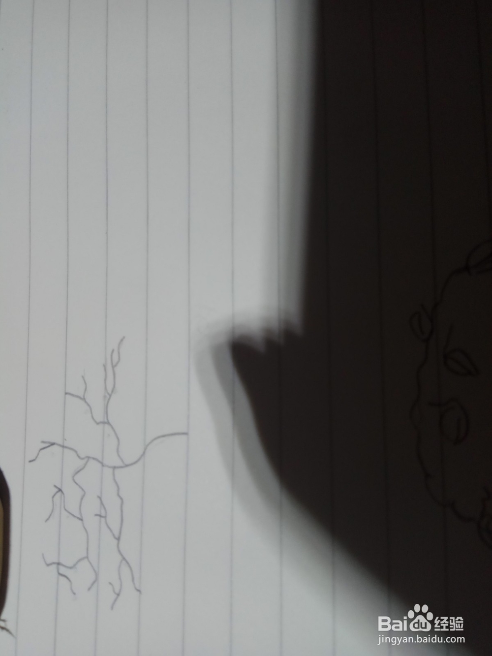 如何画盆栽梅花