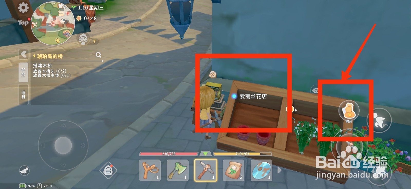 波西亚时光获得一束孔雀菊的方法