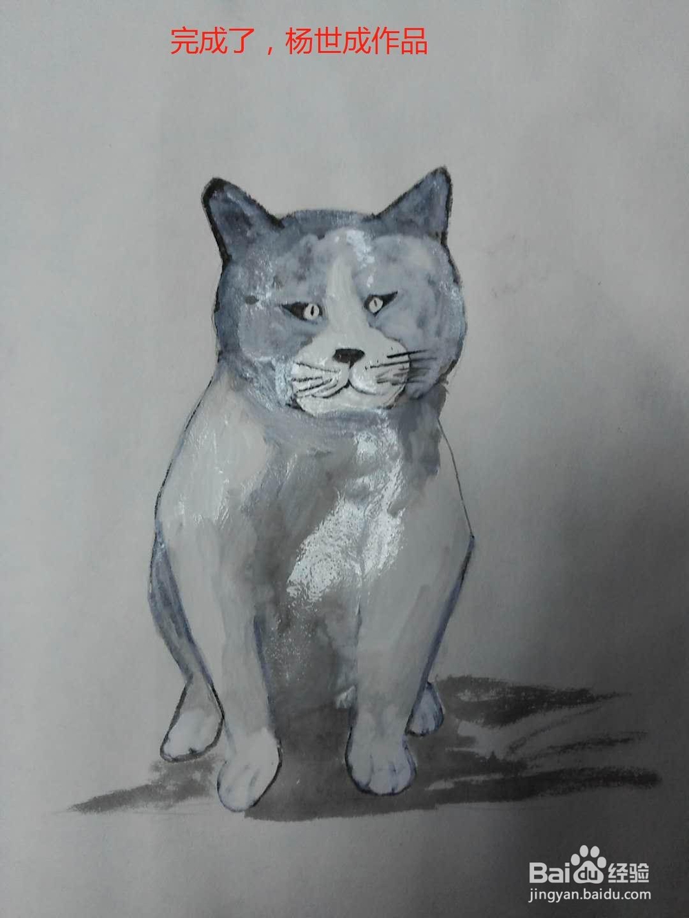 水彩画坐着的小猫的画法