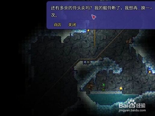 泰拉瑞亚骷髅商人入住条件