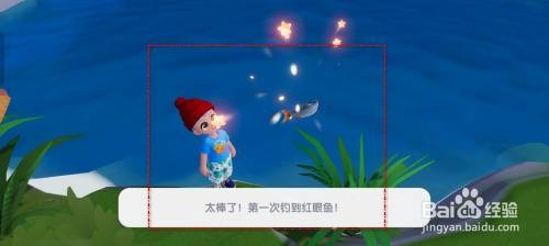 心动小镇钓红眼鱼怎么操作