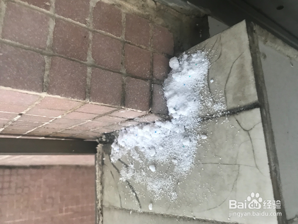 炎炎夏日，如何有效消灭屋内蚂蚁