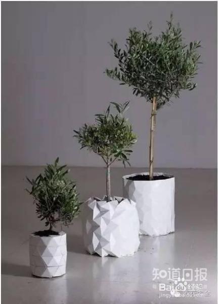 00后竟然用这种花盆,我们都落伍了!