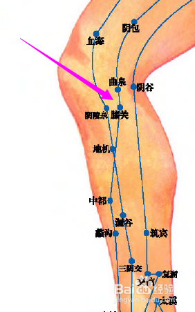 膝关穴位位置图和作用