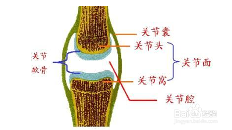怎样医治类风湿性关节炎