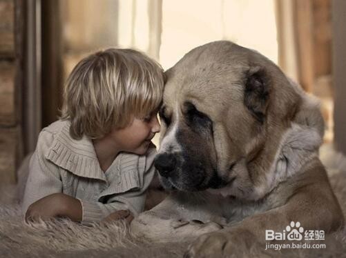 怎样帮助宝宝减轻对动物的恐惧？