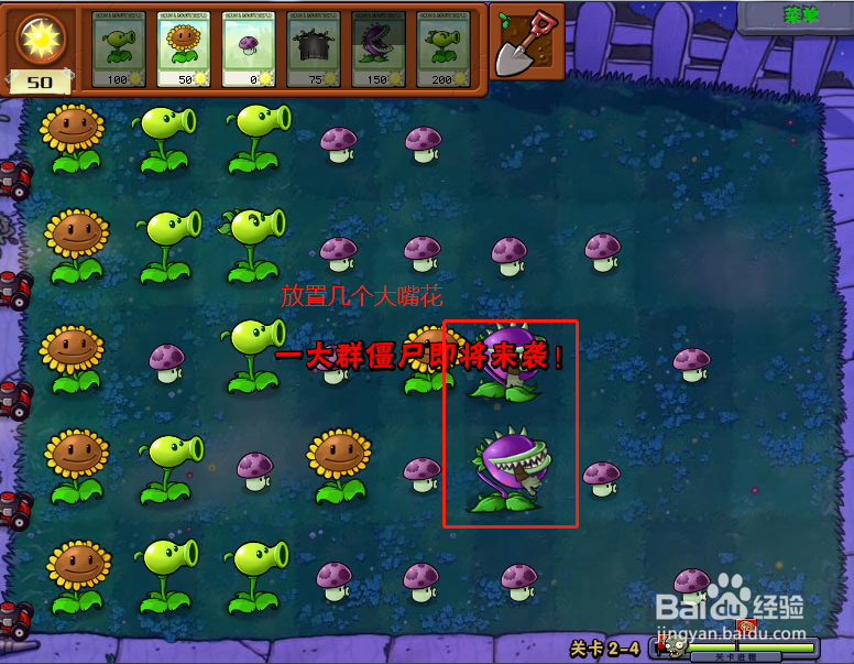植物大战僵尸无尽版第2-4关怎么过?