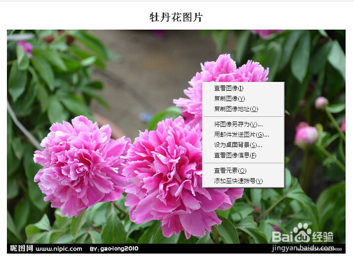 百度识图使用指南