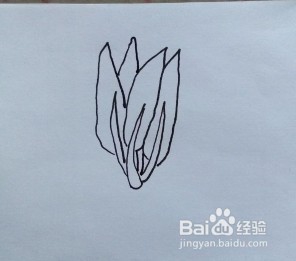菠菜怎么画？