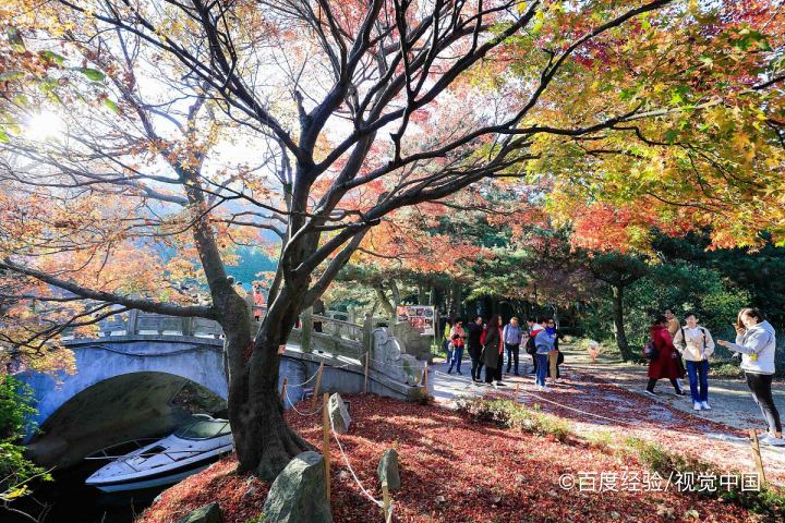 冬季庐山自驾游攻略