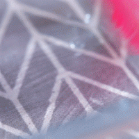 教你如何制作宝宝吃的小米红枣糕