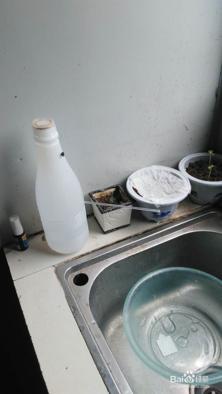 简易自动灌溉器