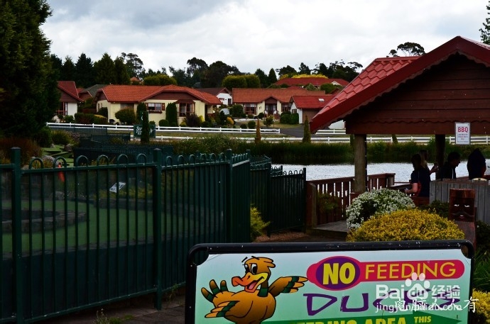 澳洲游记：[8]塔岛瑞士小镇