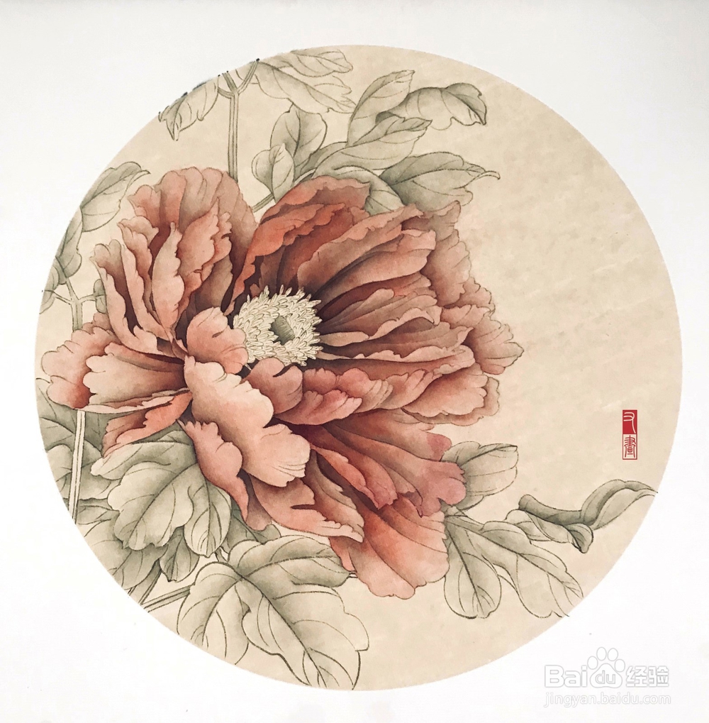 国画花卉牡丹绘画步骤