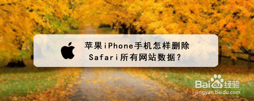 苹果iPhone手机怎样删除Safari所有网站数据