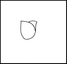 怎样画简笔画（花卉）：[1]郁金香