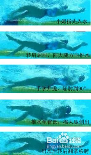 仰泳技巧仰泳动作要领速成