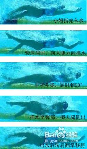 仰泳技巧仰泳动作要领速成