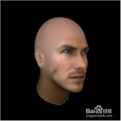 怎么用FaceGen Modeller制作3D人物头部模型