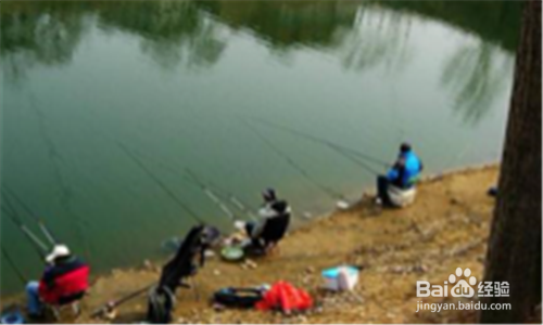 春季钓鱼怎么选钓点