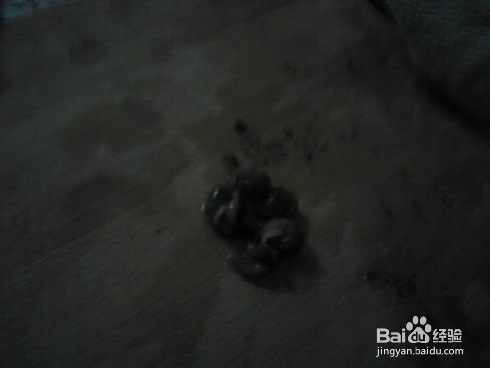 教你做菜蜗牛吃：[1]烫胜菜