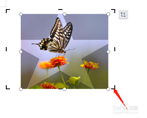 Word中怎样将图片裁剪成五角星形状