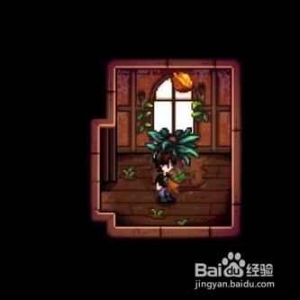 星露谷物语中金核桃如何获取