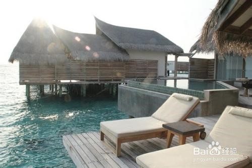 卓美亚维塔维丽岛攻略