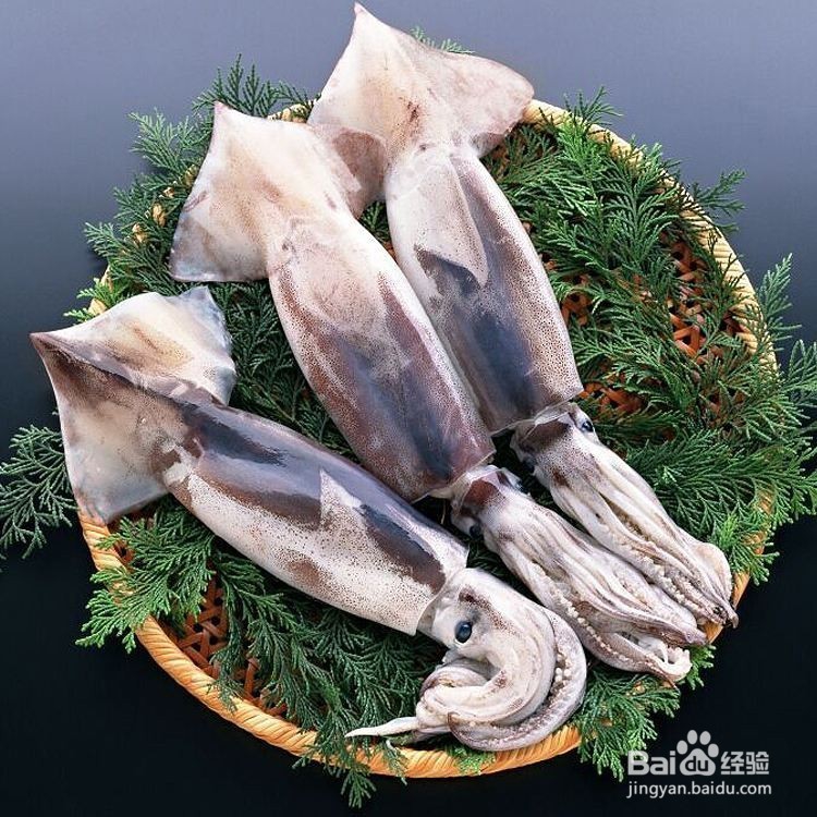 海蚌的家常做法