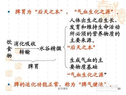 中医基础理论浅谈