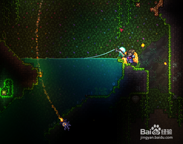 泰拉瑞亚鱼饵怎么获得,如何快速获得鱼饵