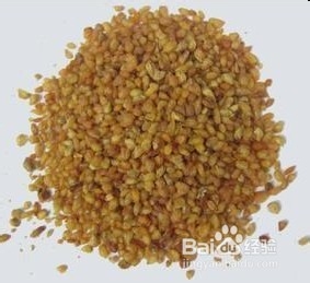 苦荞茶什么牌子好