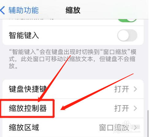 如何设置苹果缩放控制器颜色