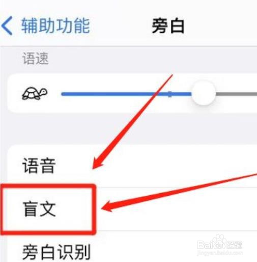 怎么输出iphone八点式盲文