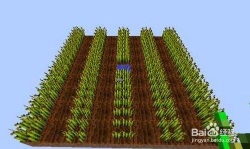 我的世界怎么种小麦